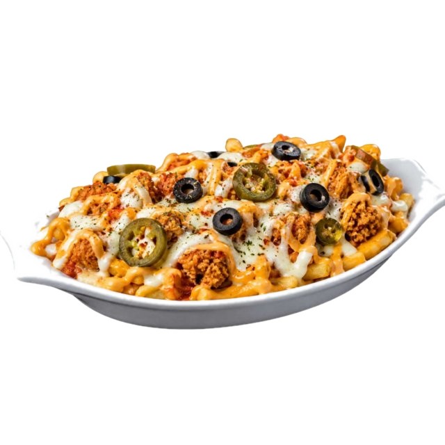 Loaded Fries Special